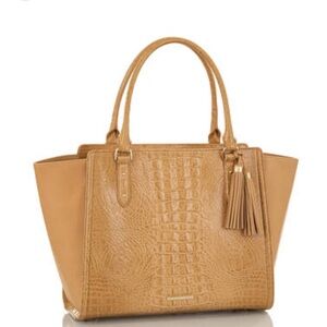 BRAHMIN Petra II in Camel Calhoun